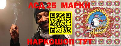 гидропоника Будённовск
