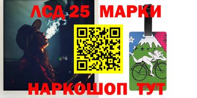 гидропоника Будённовск