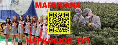 гидропоника Будённовск