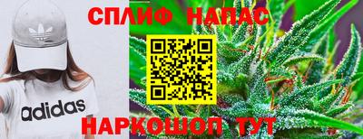 крисы Бузулук