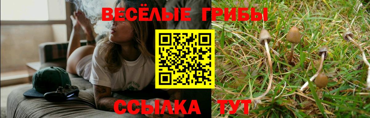 Галлюциногенные грибы Magic Shrooms  Вход с VPN  Черкесск 